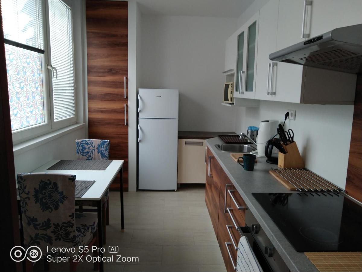 Apartman S Virivkou A Infrasaunou V Olomouci Buitenkant foto